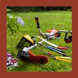 #219  Giardino facile da gestire: meno prato, più biodiversità