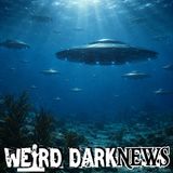 9,000 Underwater UFO Sightings Logged Off US Coasts | #WeirdDarkNEWS