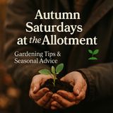 🎧 🍂 Autumn Saturdays at the Allotment | Gardening Tips & Seasonal Advice 🌱