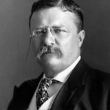 "Professionalism in Sports by Teddy Roosevelt"