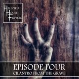 Cilantro From The Grave
