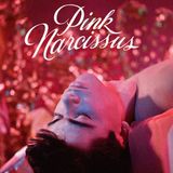 Episode 472: Pink Narcissus (1971)