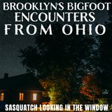 BIGFOOT ENCOUNTERS FROM THE STATE OF OHIO | IT WAS LOOKING THROUGH THE HOUSE WINDOW!