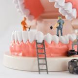 Correlation Between Diet And Dental Health According to the Best Dentist Campbelltown