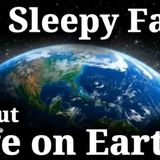 The Most Calming Facts About Life on Earth to Fall Asleep To
