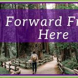 Choose Your Path  Habit Change Meditation  Mindful Movement - The Mindful Movement