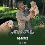 109 - Consigli di gestione del cane