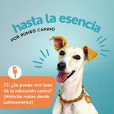 72. ¿Se puede vivir bien de la educación canina? (Historias reales desde Latinoamérica)