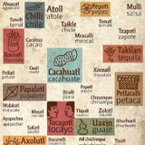 Palabras En Náhuatl Que Utilizamos Sin Saber