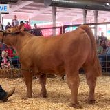 Appalachia Matters- USDA Cuts Farmers, Leadership Table, Kniting the Ole Fashion Way, Rail Bikes Farm Policy