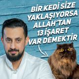 Bir Kedi Size Yaklaşıyorsa Allah'tan 13 İşaret Var Demektir -Nakış Aynası | Mehmet Yıldız