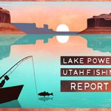 Excellent Fall Fishing at Lake Powell: Bass, Stripers, Walleye, and More