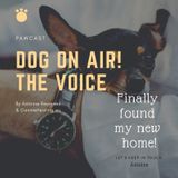 Episode 1: Follow me at    https://anchor.fm/dog-on-air
