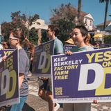 Berkeley è la prima città USA (e del mondo) a vietare tutti gli allevamenti intensivi