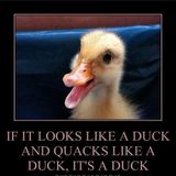 If It Looks LIke A Duck...