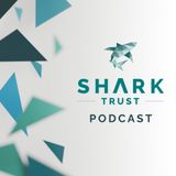 Introducing the Shark Trust Podcast