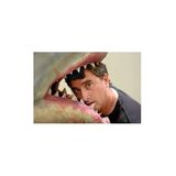 Director of "SHARKNADO: The Fourth Awakens”  ANTHONY C FERRANTE