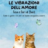 Episodio 2 - sta per uscire il nuovo libro