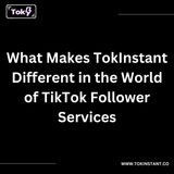 What Makes TokInstant Different in the World of TikTok Follower Services