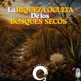 NUESTRO OXÍGENO La riqueza oculta de los bosques secos