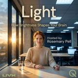 Light - Painting Emotions: How Color and Warmth Set the Mood of a Room