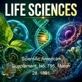 Scientific American Supplement No 795 March 28 1891 - Various