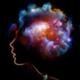 Wayne Steiger Show: I Am, We Are Consciousness - Doors of Perception | Chris Mathieu