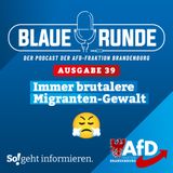 Immer brutalere Migranten-Gewalt! | Die Blaue Runde, Ausgabe 39/24 vom 26.06.2024