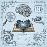 Lutowy przegląd książek popularnonaukowych: Mózg, śmiech i tworzenie opowieści