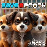 Save A Pooch - Episode 68 From Foster Fails to Forever Pigs: One Family's Journey Through Animal Rescue