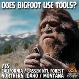 Does Bigfoot Use Tools?