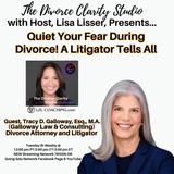 Quiet Your Fear During Divorce A Litigator Tells All Guest Tracy D. Galloway Esq.