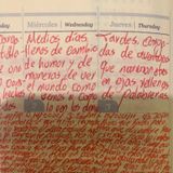 Episodio 85 - ENSAYOS “ mi chica ideal”