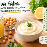Acqua faba: cos’è, come usarla in cucina e la ricetta della maionese vegana