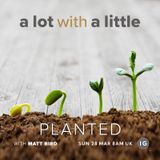 A Lot With A Little #13: PLANTED - plant yourself where you can bud, blossom and grow.