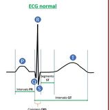 HBS 3.1 Quiz Review