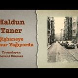 Haldun Taner - Şişhaneye Yağmur Yağıyordu