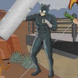 Wildcat