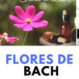 Terapia Floral Bach