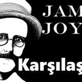 Bir Karşılaşma  James Joyce sesli kitap tek parça