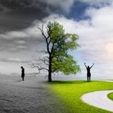 WISDOM FOR TRYING TIMES (Episode 708 - Preachify Daily Devotional)