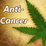 Cannabis Oil vs Cancer