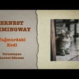 Ernest Hemingway - Yağmurdaki Kedi