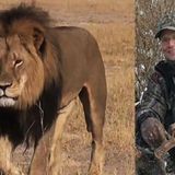 The Death of Cecil the Lion, and his killers