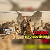 12 War Dogs Refused Rescue… Their Final Bond | War Story Audiobook