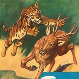 (Resumen) Timur, el tigre - C. Bernard Rutley