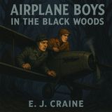 12 - Airplane Boys in the Black Woods by E  J  Craine