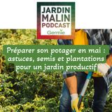 Préparer son potager en mai : astuces, semis et plantations pour un jardin productif