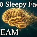 Why Do We FORGET Our Dreams _ Dream Science To Fall Asleep To