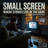Small Screen - Fly on the Wall of Troy: Documentary as Modern Oracle